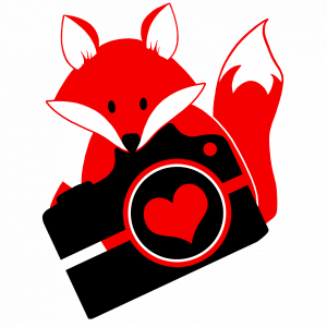 Foto Fuchs, Fotograf und Fotoatelier.jpg