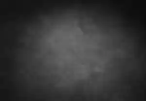 Vibi.photography.jpg