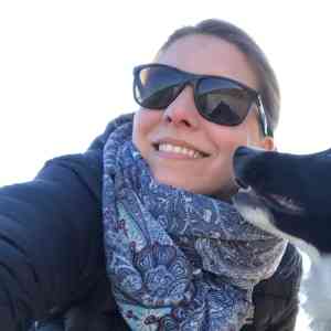 Brigittes Fahrschule.jpg