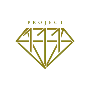 Project111.jpg