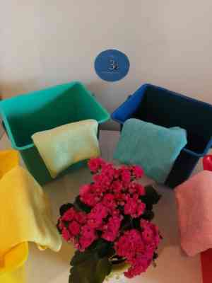 Die 3 Reinigungszauberei.jpg