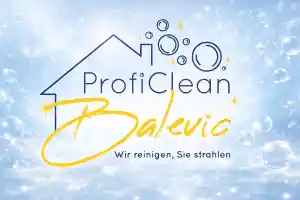 ProfiClean Balevic.jpg