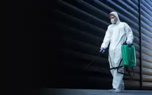 DS Schädlingsbekämpfung (Fachbetrieb).jpg