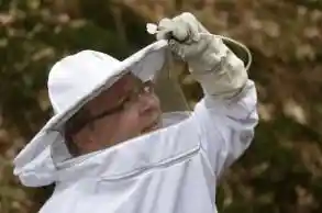 insectacon GmbH.jpg