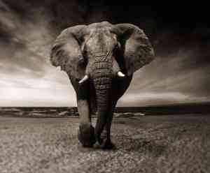 Psychotherapeutische Gemeinschaftspraxis für Kinder, Jugendliche und Erwachsene.jpg