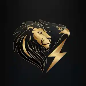 Blitz Sicher Transport & Umzüge.jpg