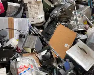 Lion Umzüge Berlin.jpg