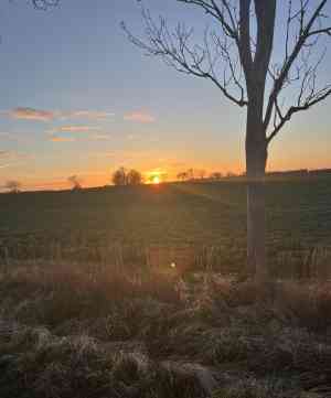 Oase der Ruhe, liebevolle und persönliche Bestattungen.jpg
