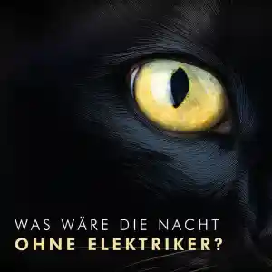 Bernd Schimmel Elektroinstallations- & Planungsgesellschaft.jpg