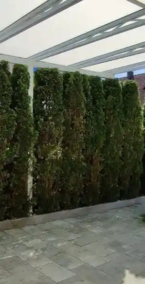 VIST.Gartenliebe.jpg