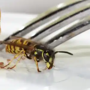 B&R Preventa GmbH München.jpg