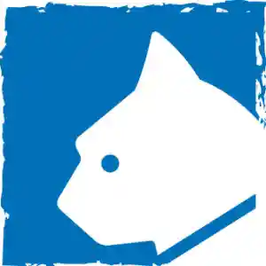 Sascha Günther - SMG-Webdesign.jpg