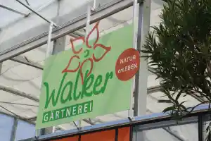 Gärtnerei Walker.jpg