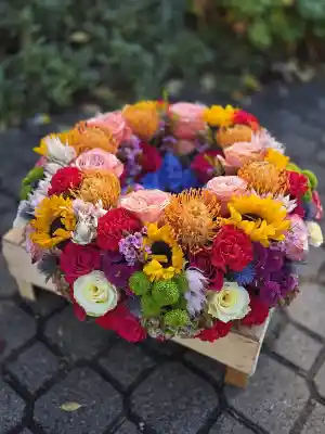 Alexander Fritz - Ihr Gärtner des Vertrauens -.jpg