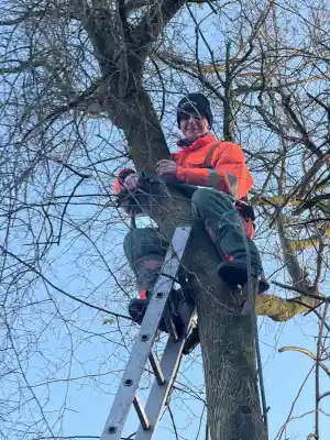 Gartengestaltung Harmonie in Grün inh. Stefan Nelz.jpg