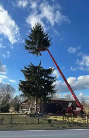 Ihr Baumprofi Josef Höllinger.jpg