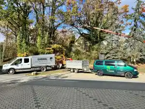 Baumpflege Gabriel.jpg