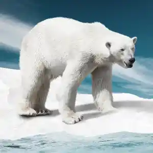 Kälte- u. Klimatechnik Kunz GmbH.jpg