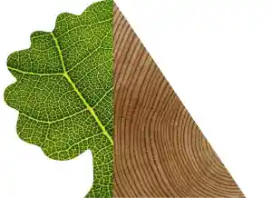 Carpenter Interlignum.jpg