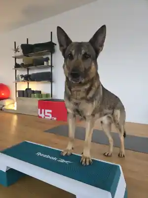 Lisa Dreesen Personal Training.jpg