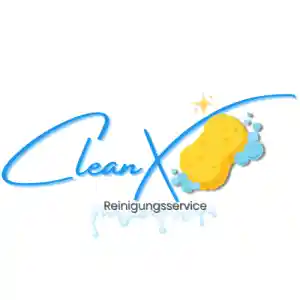 CleanX Schwamm.jpg