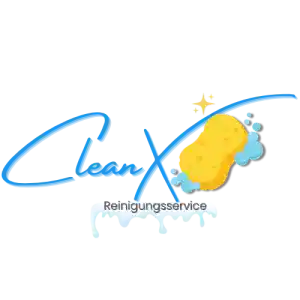 CleanX Schwamm.jpg