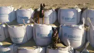 Wunsch Sicherheit & Diensthunde Service .jpg