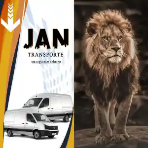 Jan, Löwe, Transport .jpg