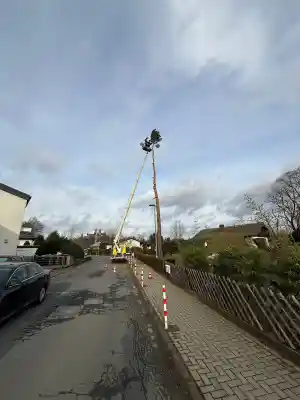 Ioan Manilici Hausmeisterservice .jpg