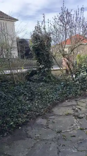 Dienstleistung für Gartenpflege Bensheim.jpg