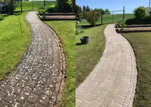 Proficleaner.jpg