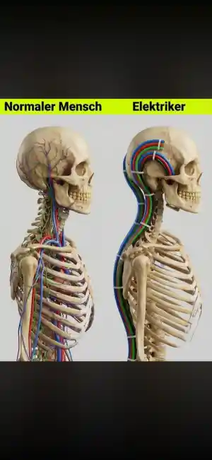 Elektrotechnik Peter.jpg