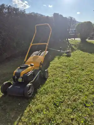 CI Hausmeisterservice .jpg