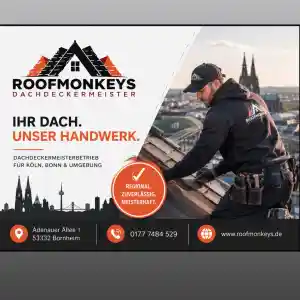RoofMonkeys Dachdeckermeisterbetrieb.jpg