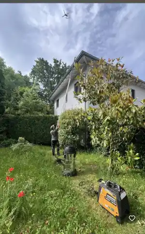 Sola Reinigung.jpg