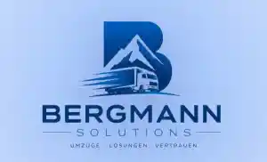 Bergmann Solutions.jpg