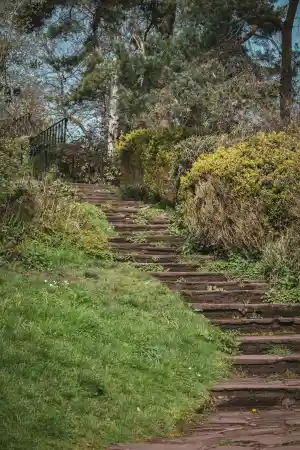Garten und Forstservice. Beversdorf .jpg