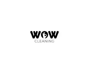 WoW Cleaning.jpg