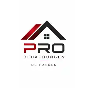 Pro Bedachungen DG HALDEN | Dachdecker - Meisterbetrieb Leipzig.jpg