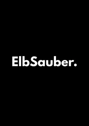 ElbSauber.jpg