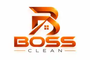 Boss Clean.jpg