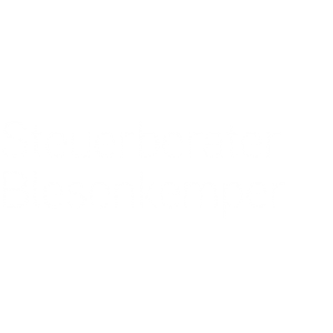 Blesenkemper L. Steuerberater.jpg