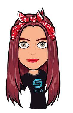 S.O.G Schäfer Objektservice Göppingen.jpg