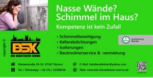 Bsk Dienstleister Worms.jpg