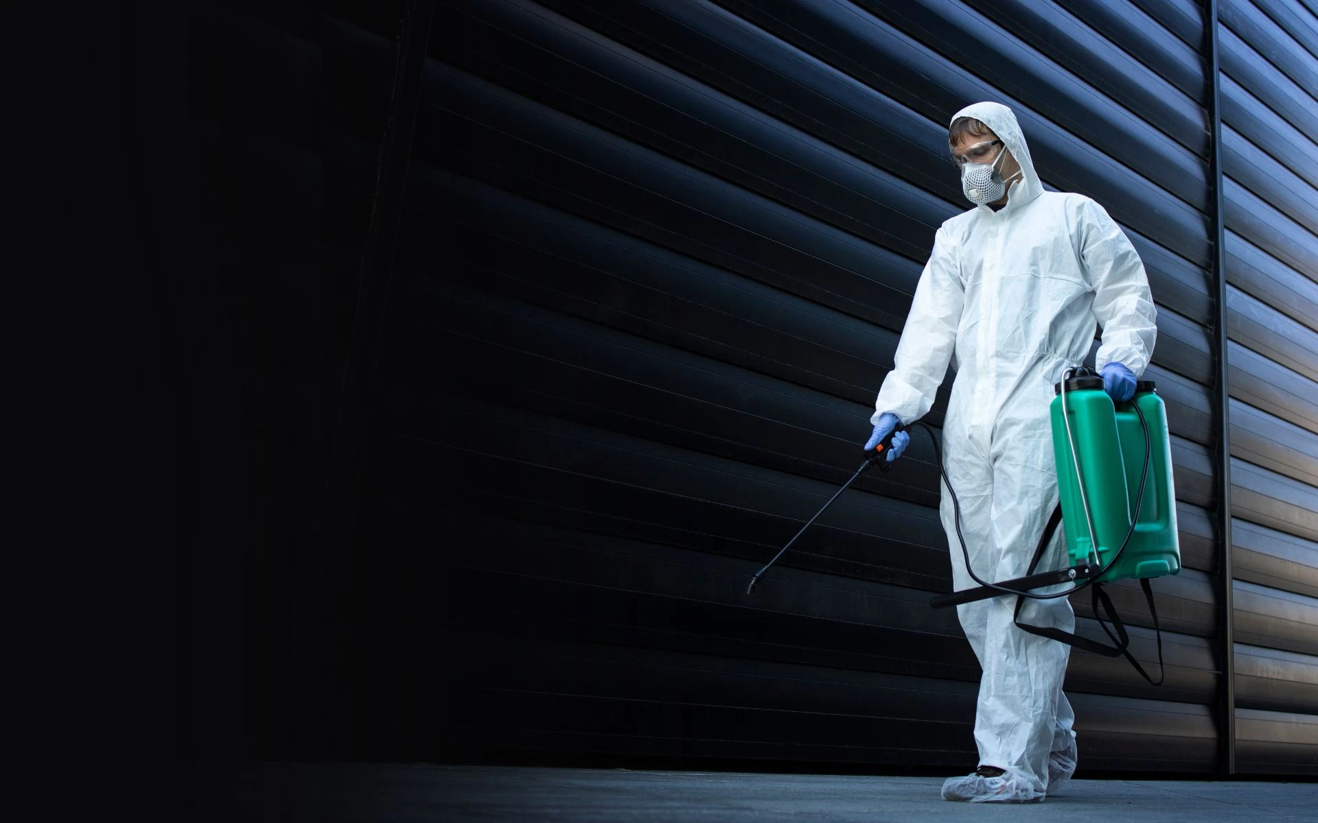 DS Schädlingsbekämpfung (Fachbetrieb).jpg