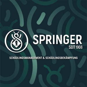 Springer SBK OHG.jpg