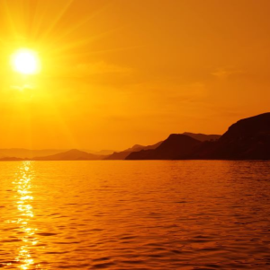 Fischer Bestattungen + Grabmale e.K..jpg