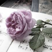 Werner Welp Bestattungsinstitut Inh. Cornelia Welp.jpg