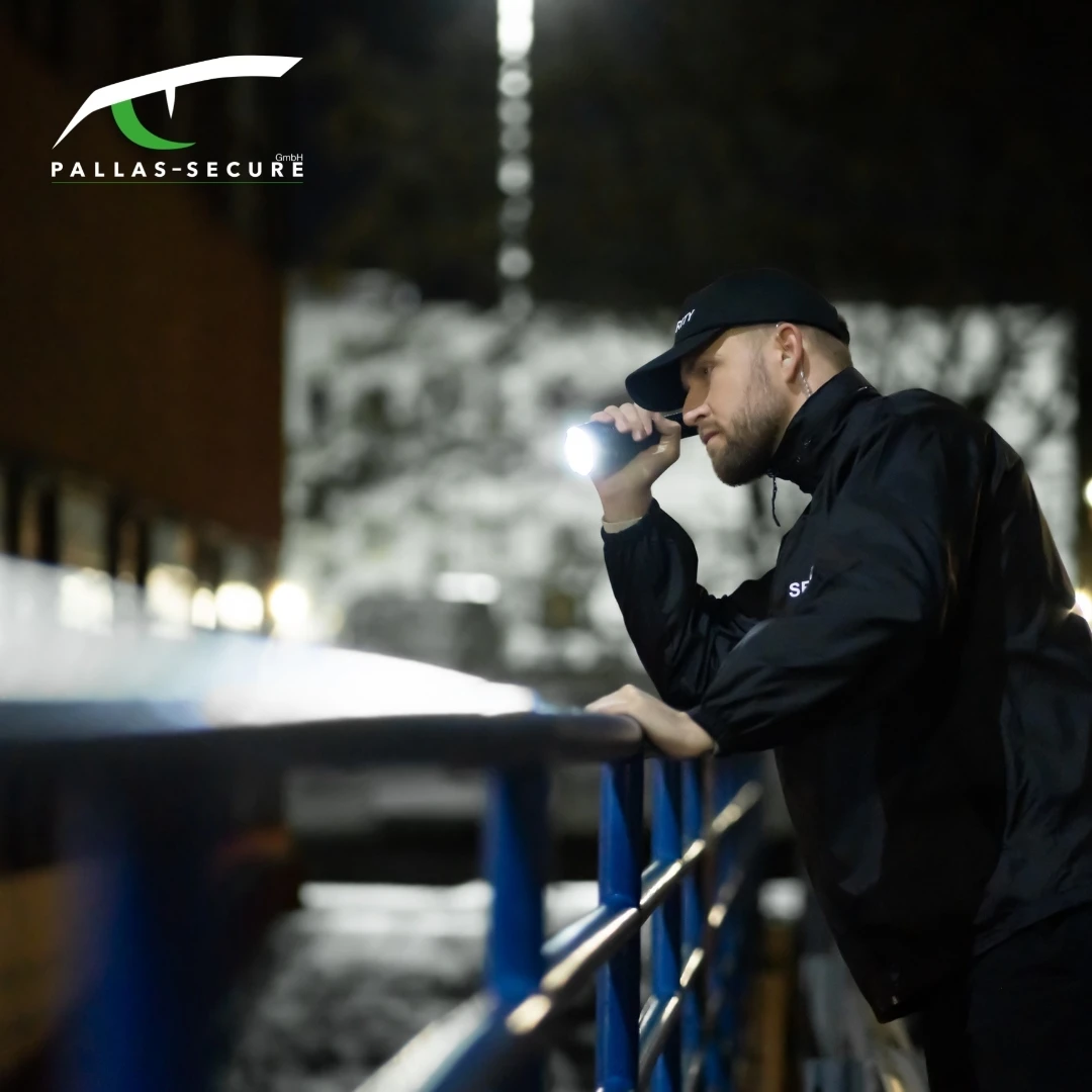 Pallas-Secure GmbH.jpg