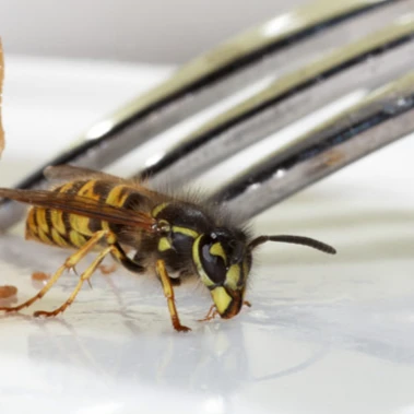 B&R Preventa GmbH München.jpg